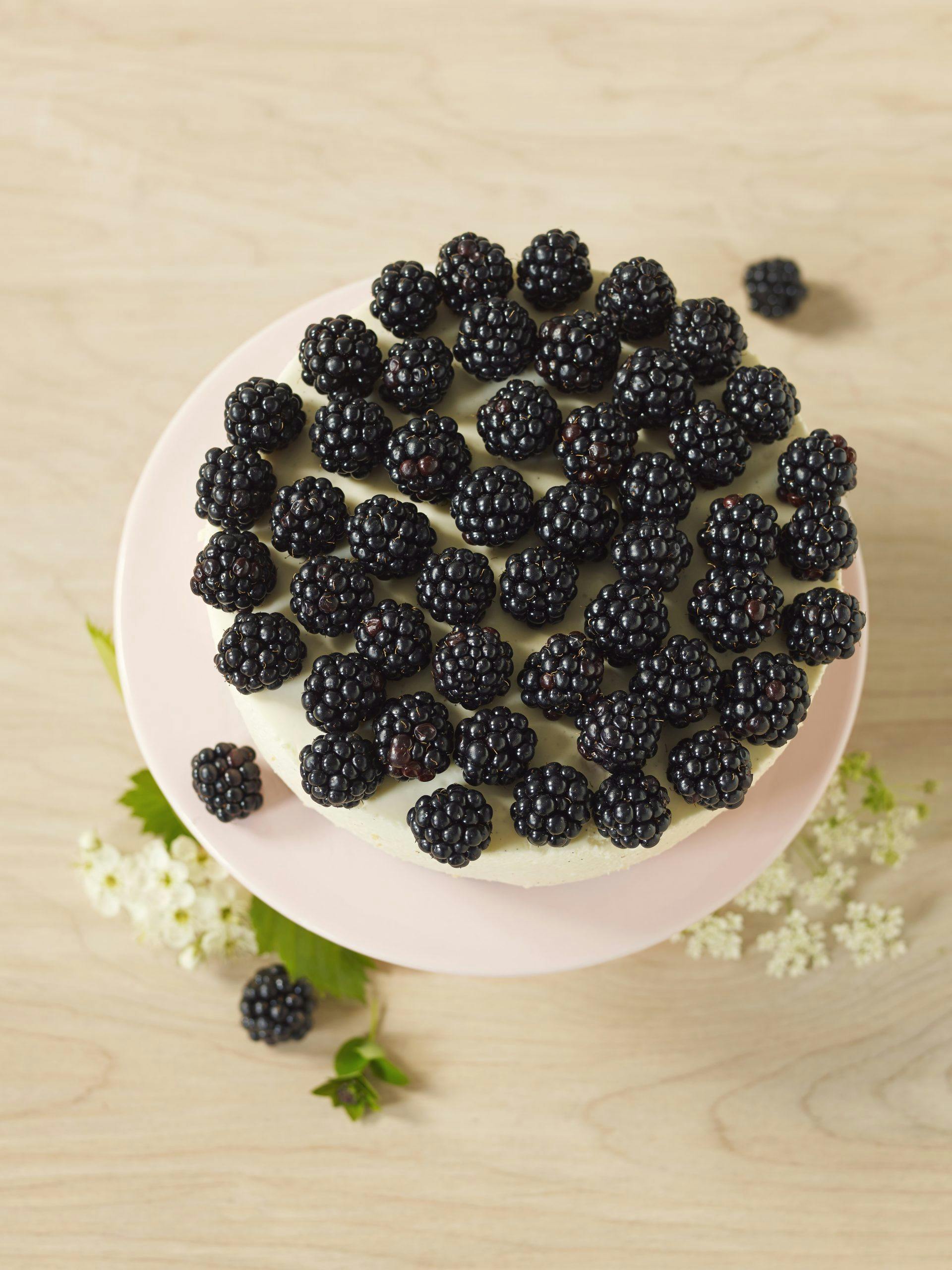 2014 05 tara11638done Ostekake